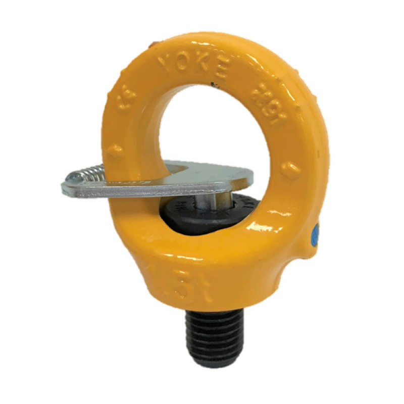 RINGSCHRAUBE SPK GK10